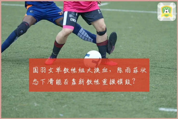 国羽女单教练组大换血，陈雨菲状态下滑能否靠新教练重振旗鼓？